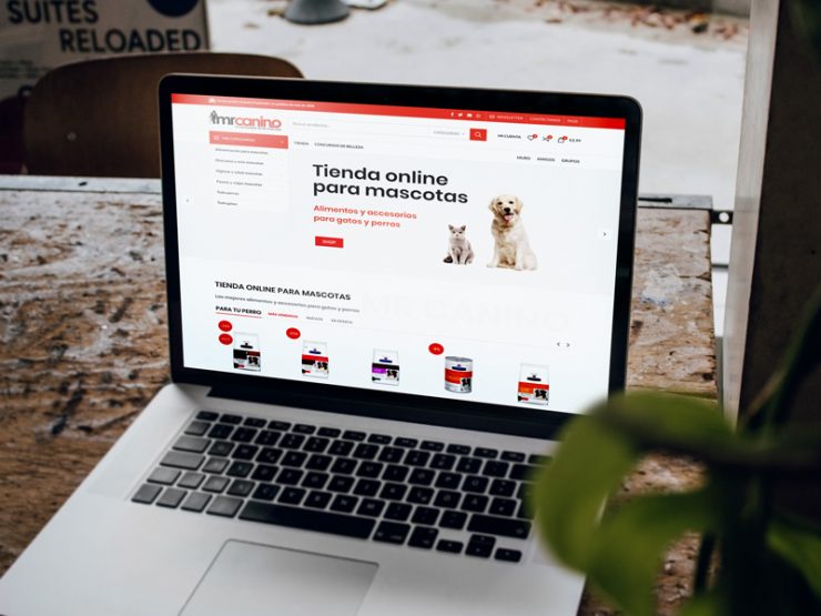 Diseñador web wordpress freelance desarrollo web mrcanino.es